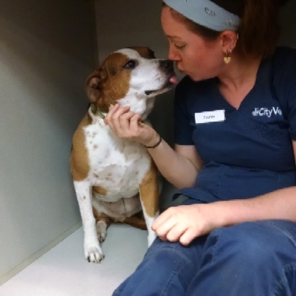 Meet your Posher, Emilia - Picture 6 of 9